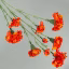 891160-Orange