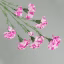 891160-PinkWhite