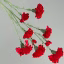 891160-Red