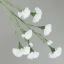 891160-White