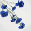 891160-Blue