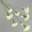 891160-Cream