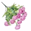 892200-Heather
