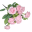 892200-Pink